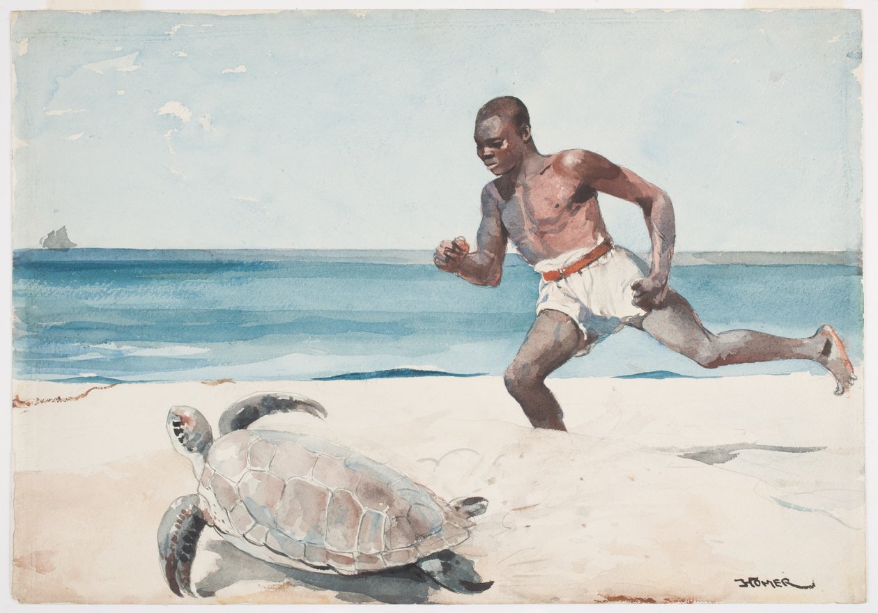 Rum Cay (wc grafit felett, papíron) alkotó: Winslow Homer