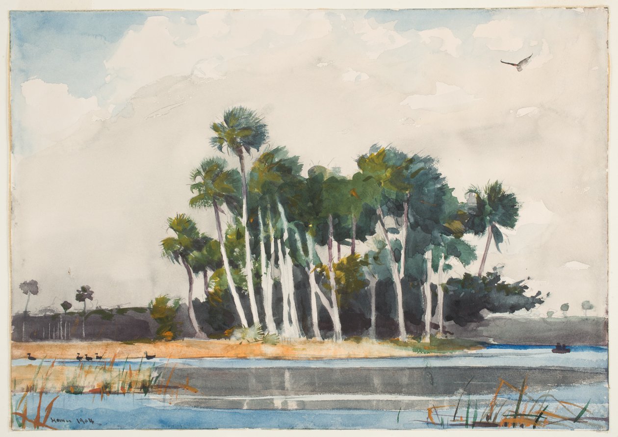 A pulykaölyv (wc grafit felett, papíron) alkotó: Winslow Homer