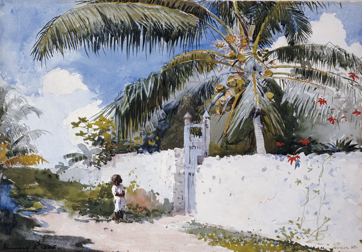 Egy kert Nassauban, 1885 alkotó: Winslow Homer