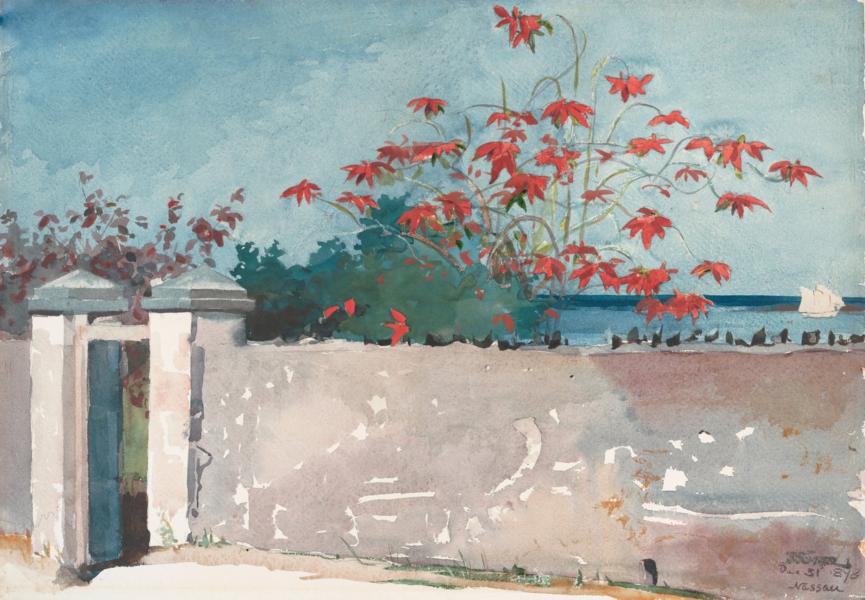 Egy fal, Nassau, 1898. alkotó: Winslow Homer