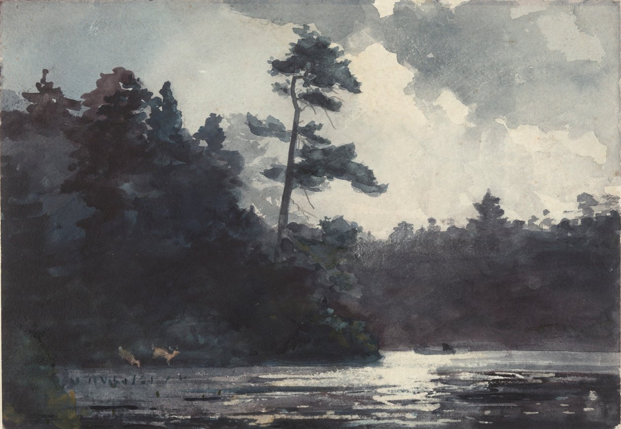 Adirondack-tó alkotó: Winslow Homer