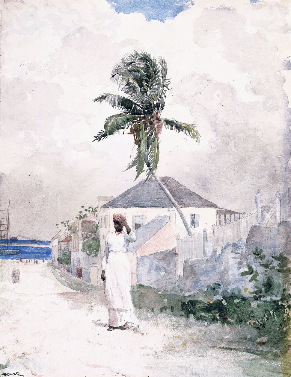 Az út mentén, Bahamák, 1885 alkotó: Winslow Homer