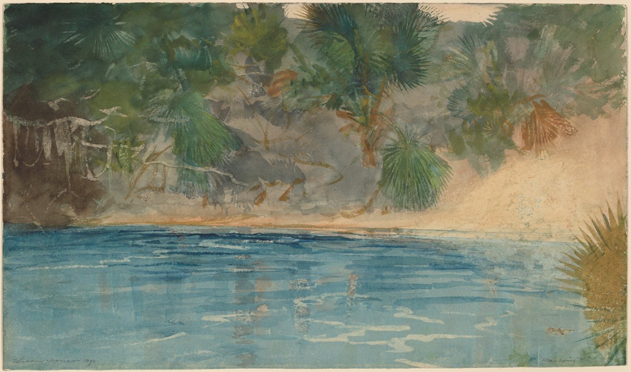 Blue Spring, Florida, 1890. alkotó: Winslow Homer
