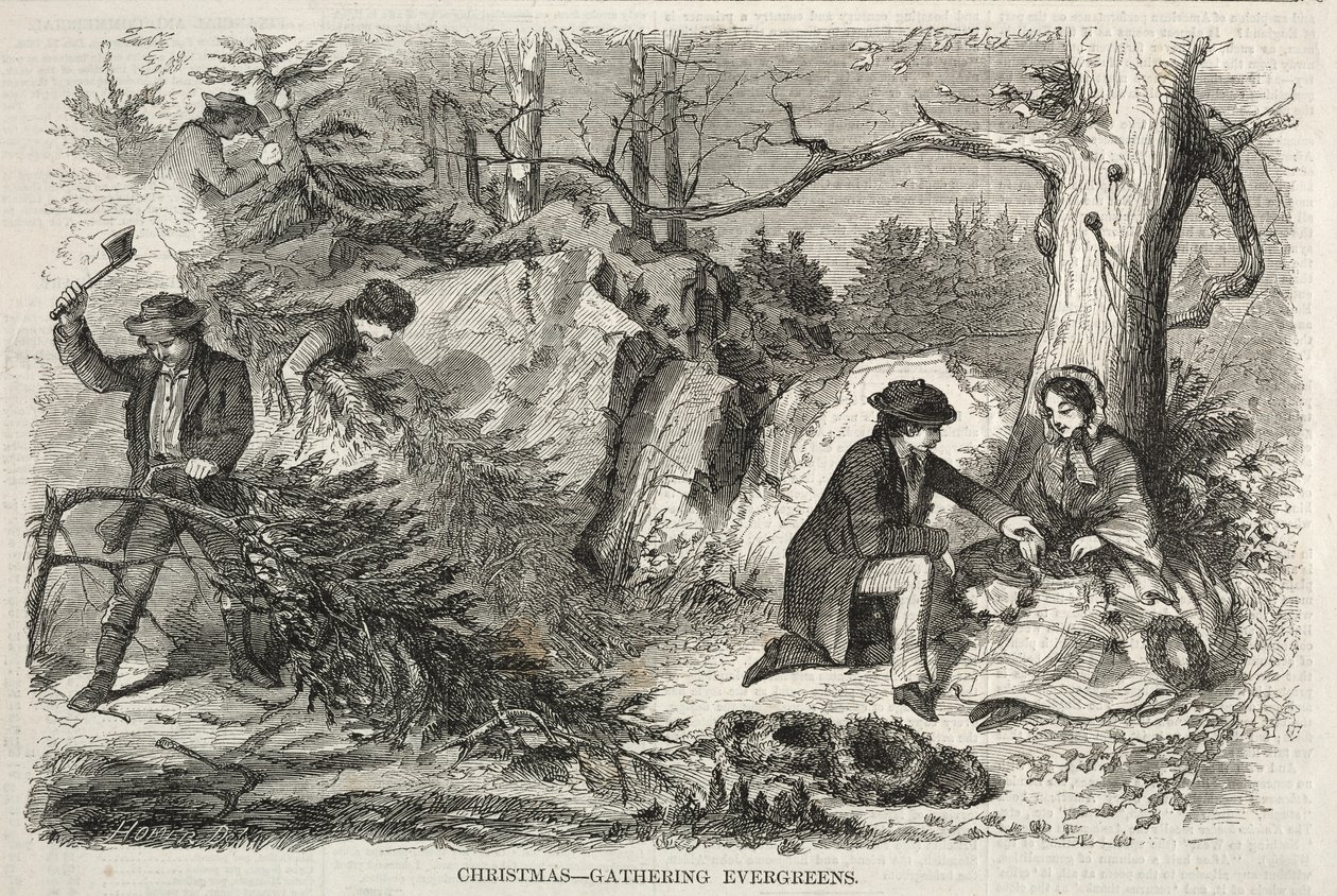 Karácsony – Örökzöldek összegyűjtése, 1858. alkotó: Winslow Homer