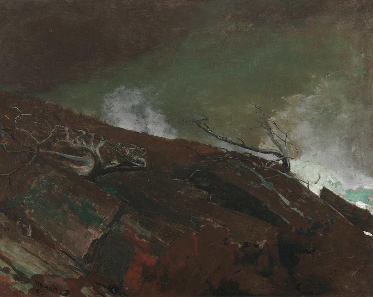 Maine tengerpartja, 1893. alkotó: Winslow Homer