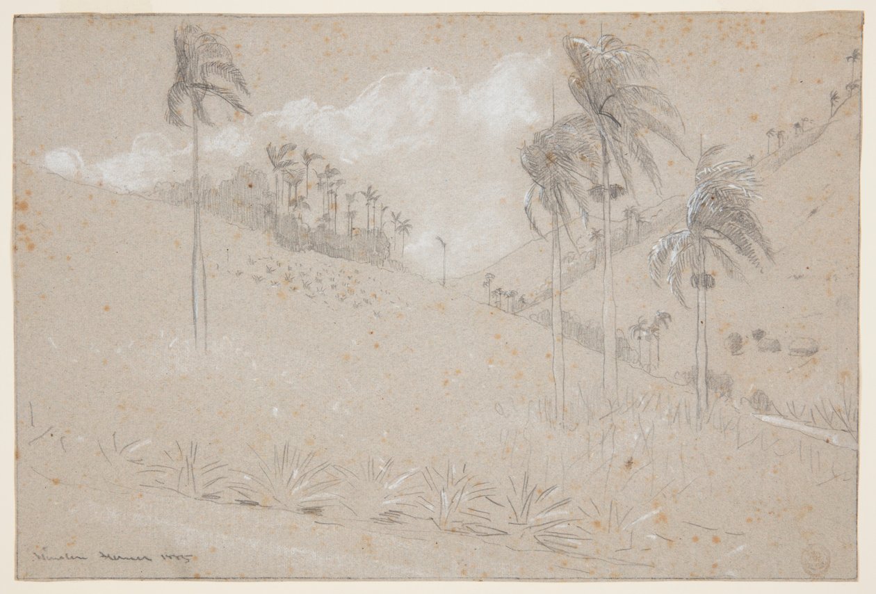 Kubai hegyoldal alkotó: Winslow Homer