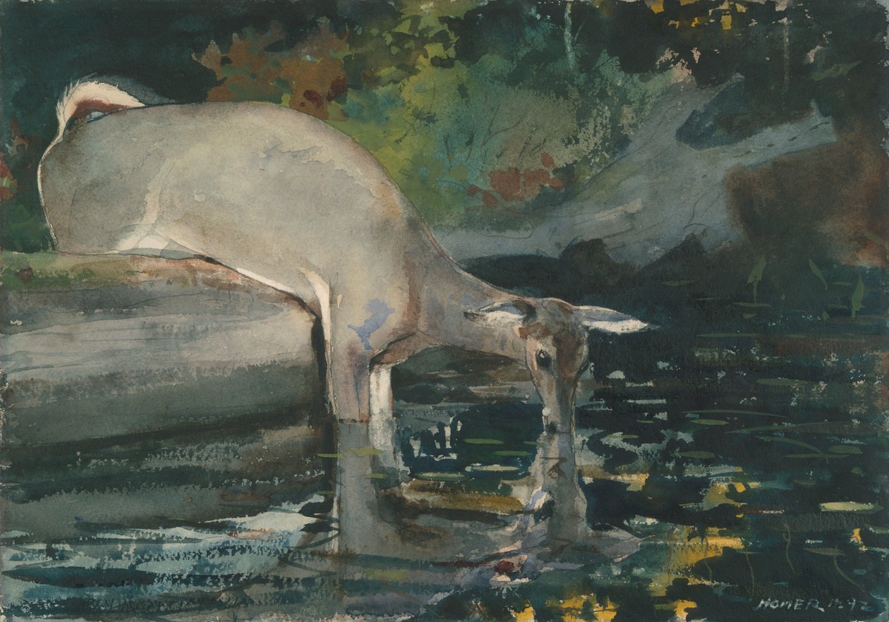 Szarvas ivás alkotó: Winslow Homer
