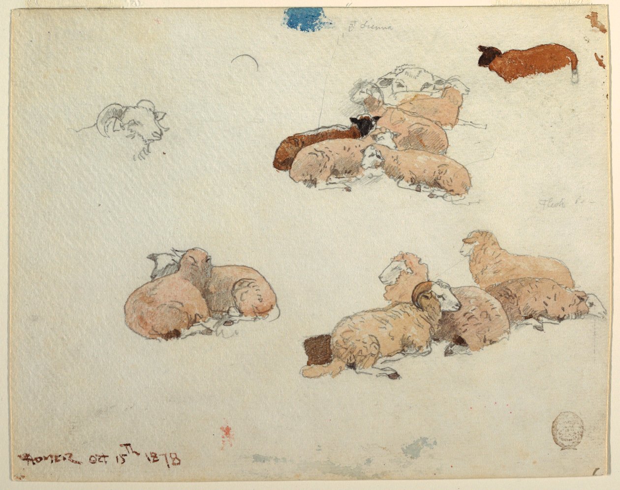Rajz, pihenő birkák, 1878. október 15. alkotó: Winslow Homer