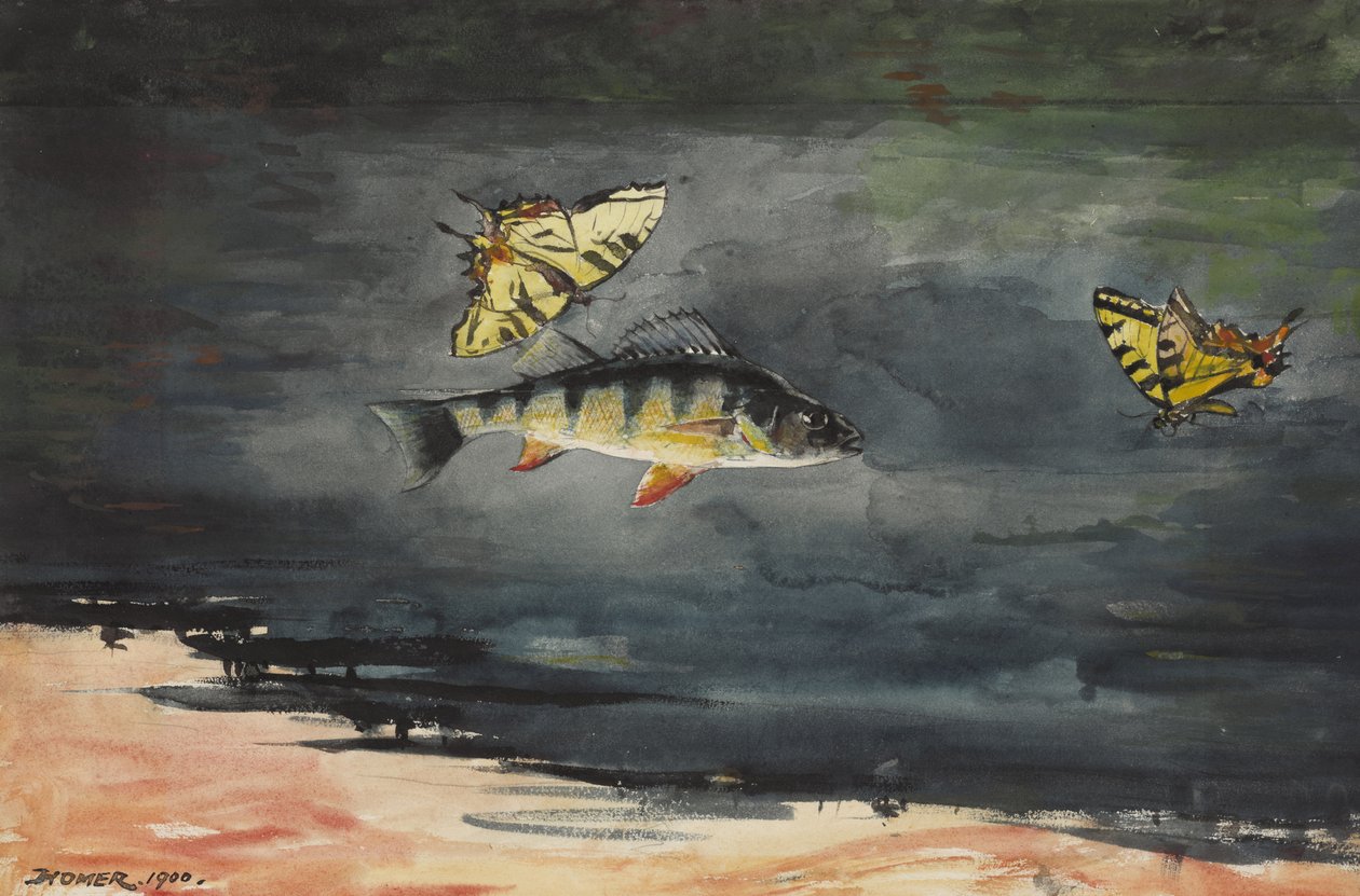 Halak és pillangók, 1900 alkotó: Winslow Homer