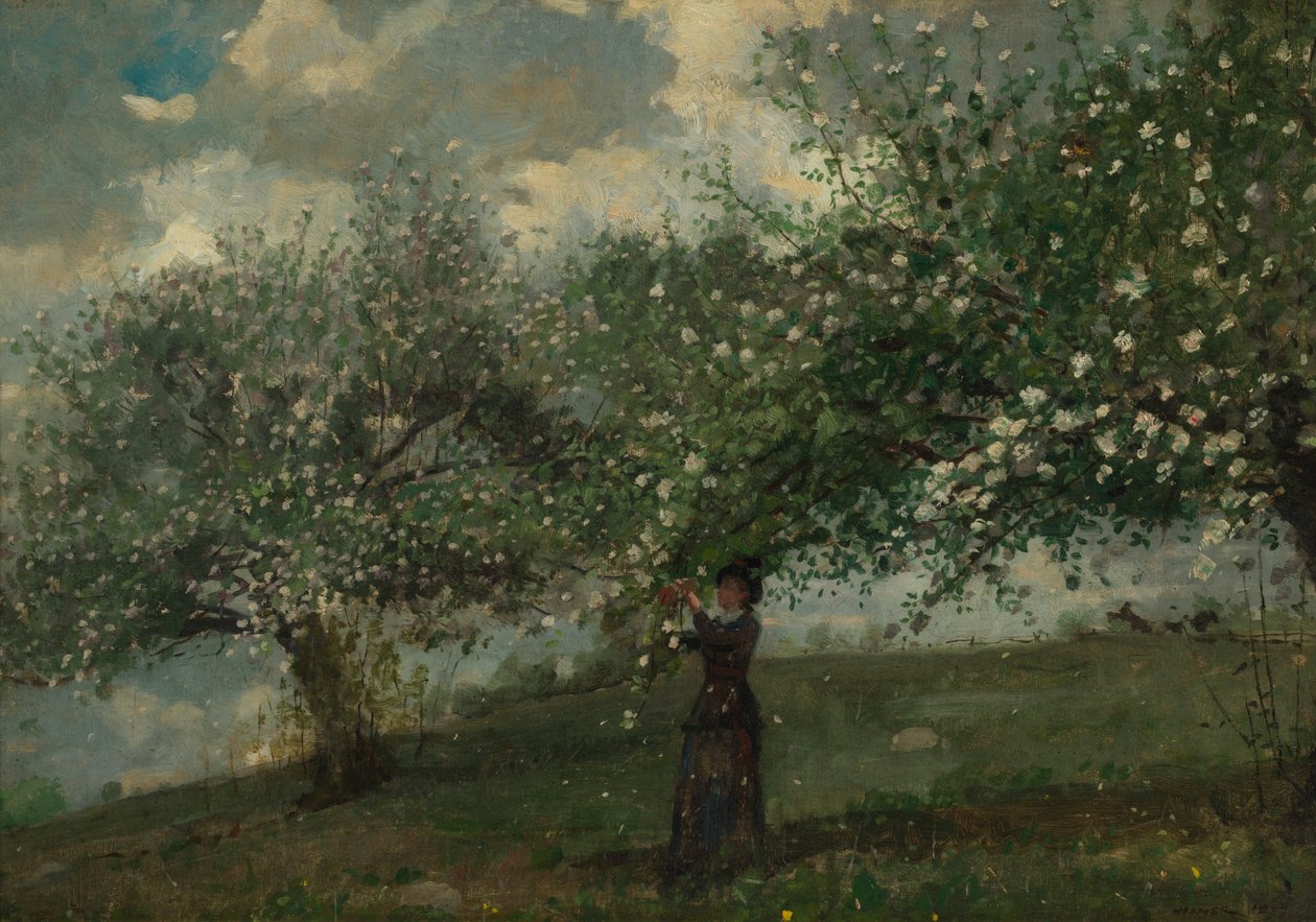 Almavirágot szedő lány alkotó: Winslow Homer