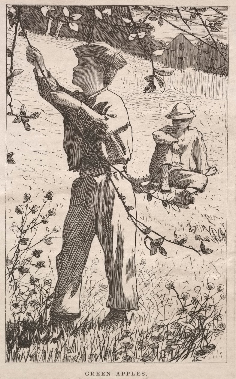 Zöld alma alkotó: Winslow Homer
