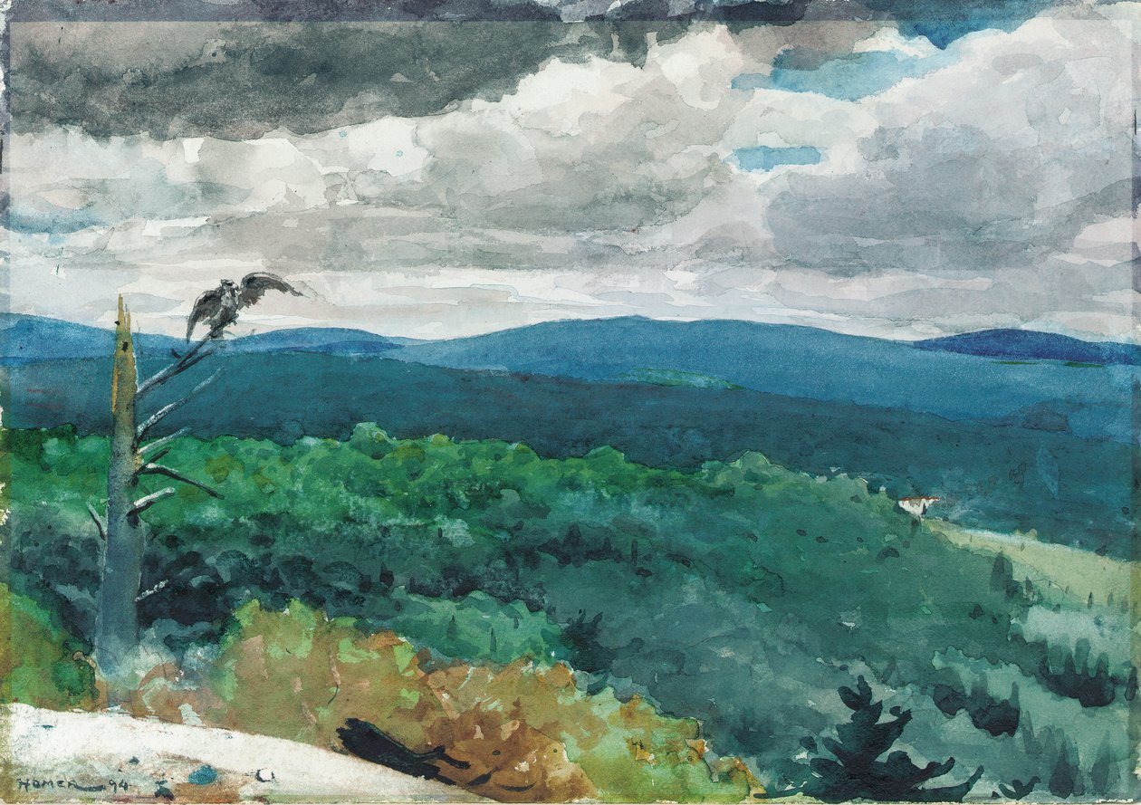 Dombos táj, 1894 alkotó: Winslow Homer