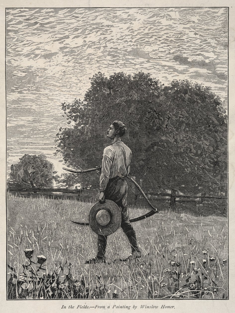 A mezőkön. alkotó: Winslow Homer