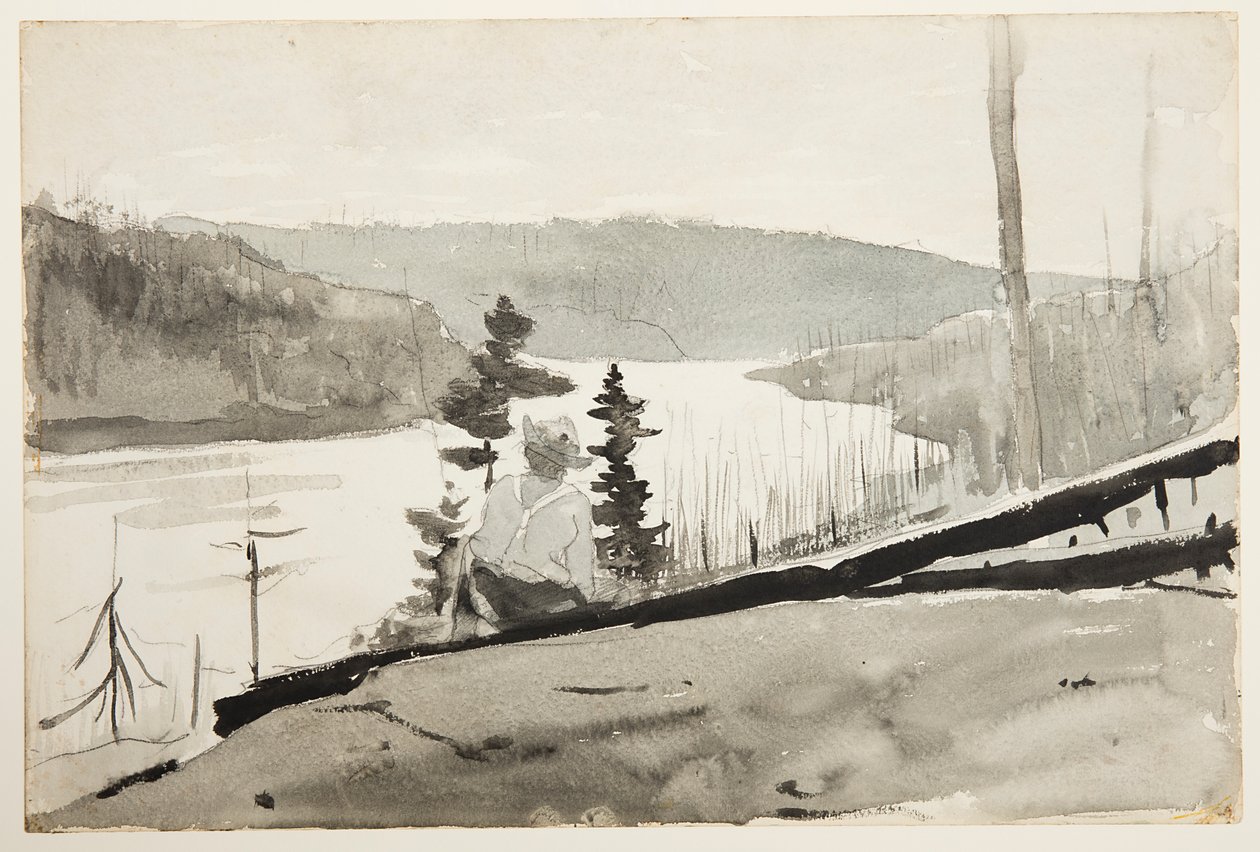 Hegyi folyó vagy tó alkotó: Winslow Homer