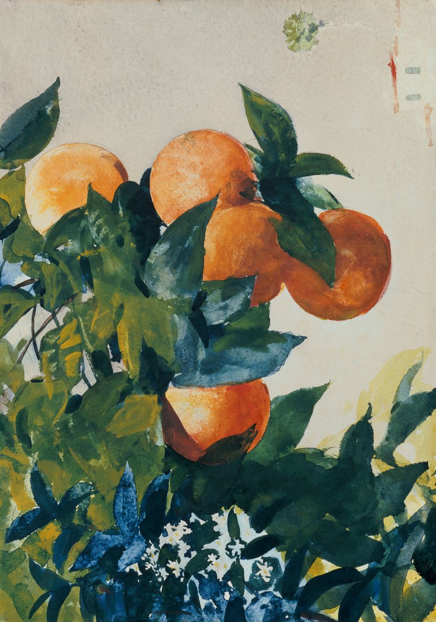 Narancs egy ágon, 1885 alkotó: Winslow Homer