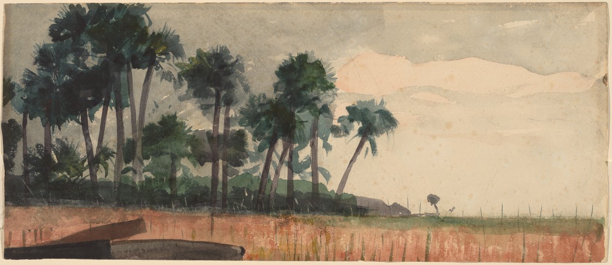 Pálmafák, piros alkotó: Winslow Homer