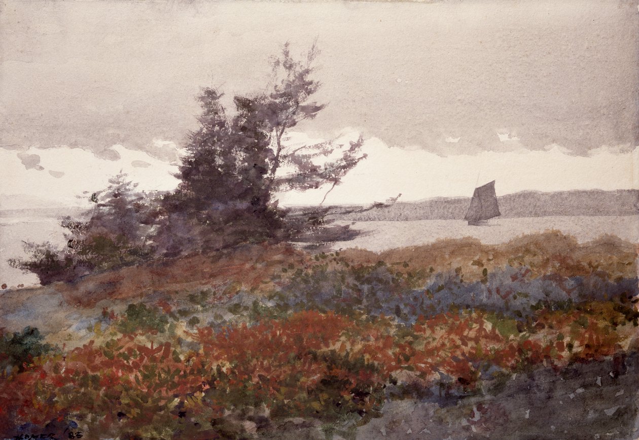 Prout nyaka: A régi gyümölcsös felé néz alkotó: Winslow Homer