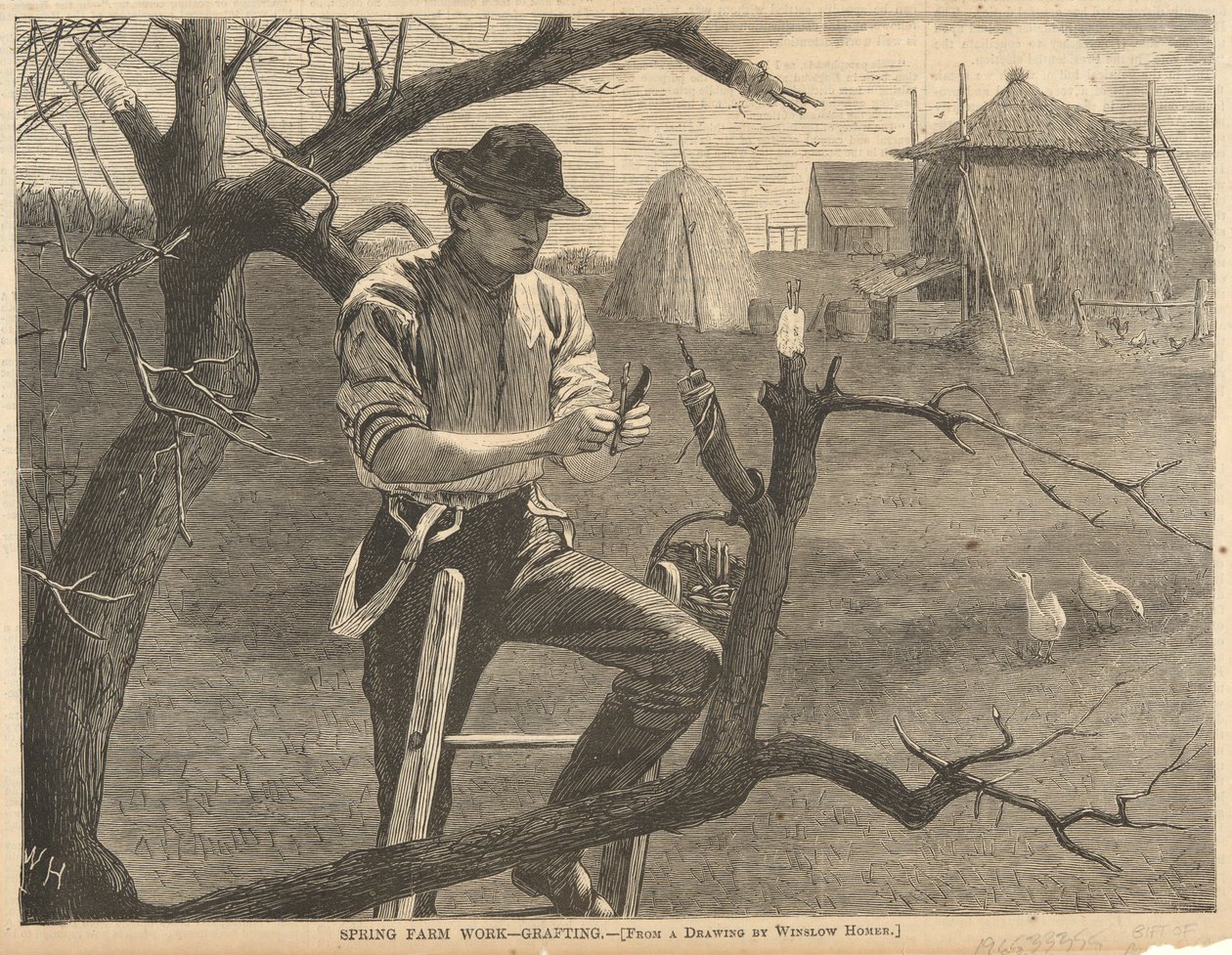 Tavaszi mezőgazdasági munka alkotó: Winslow Homer
