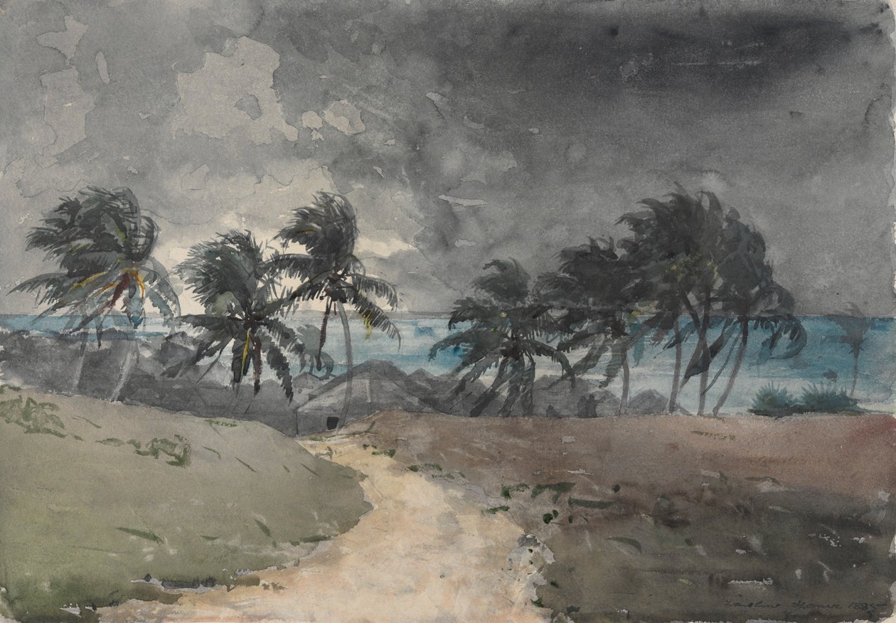 Vihar, Bahamák alkotó: Winslow Homer