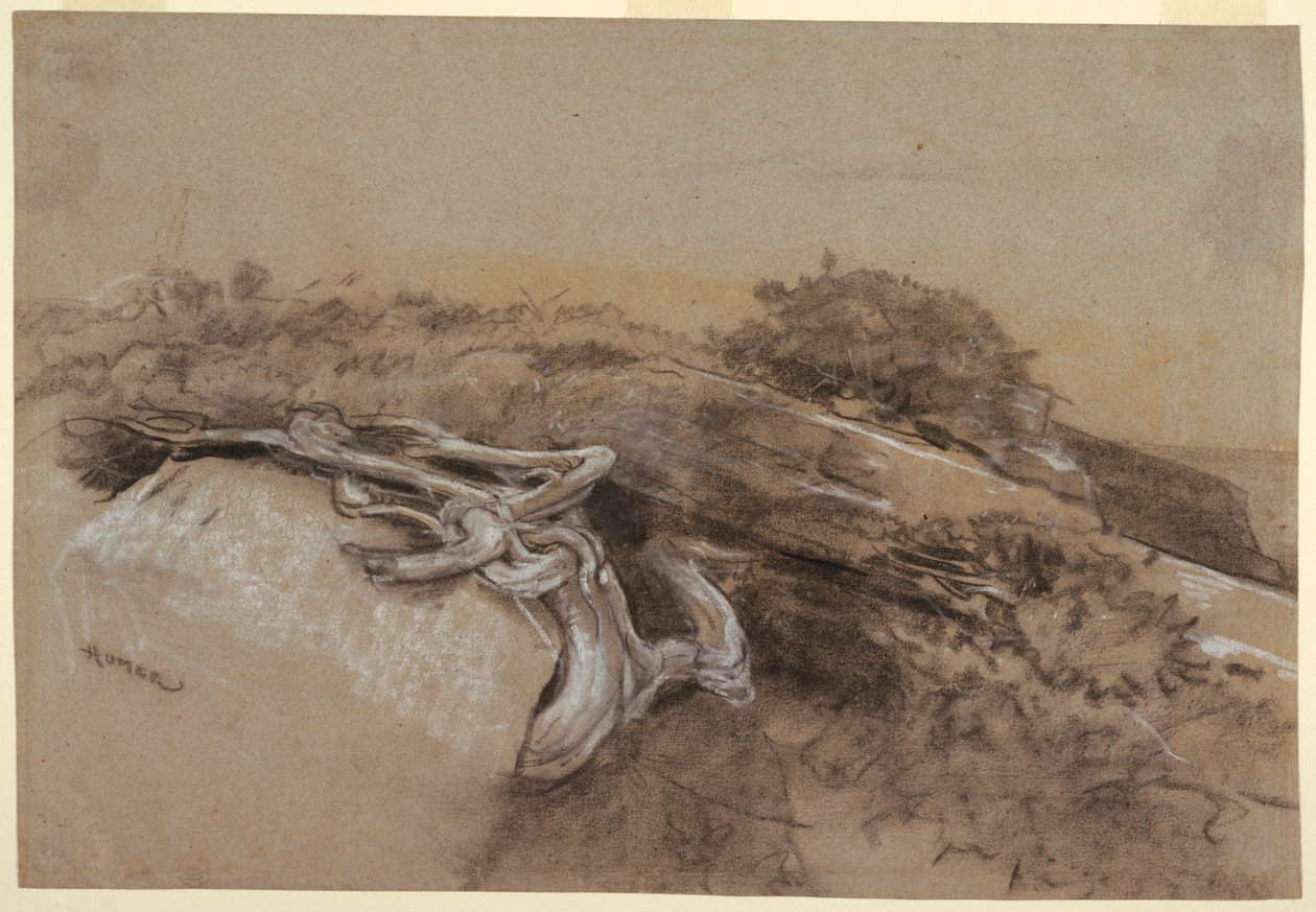 Fagyökerek tanulmányozása, Prout nyakán, Maine alkotó: Winslow Homer