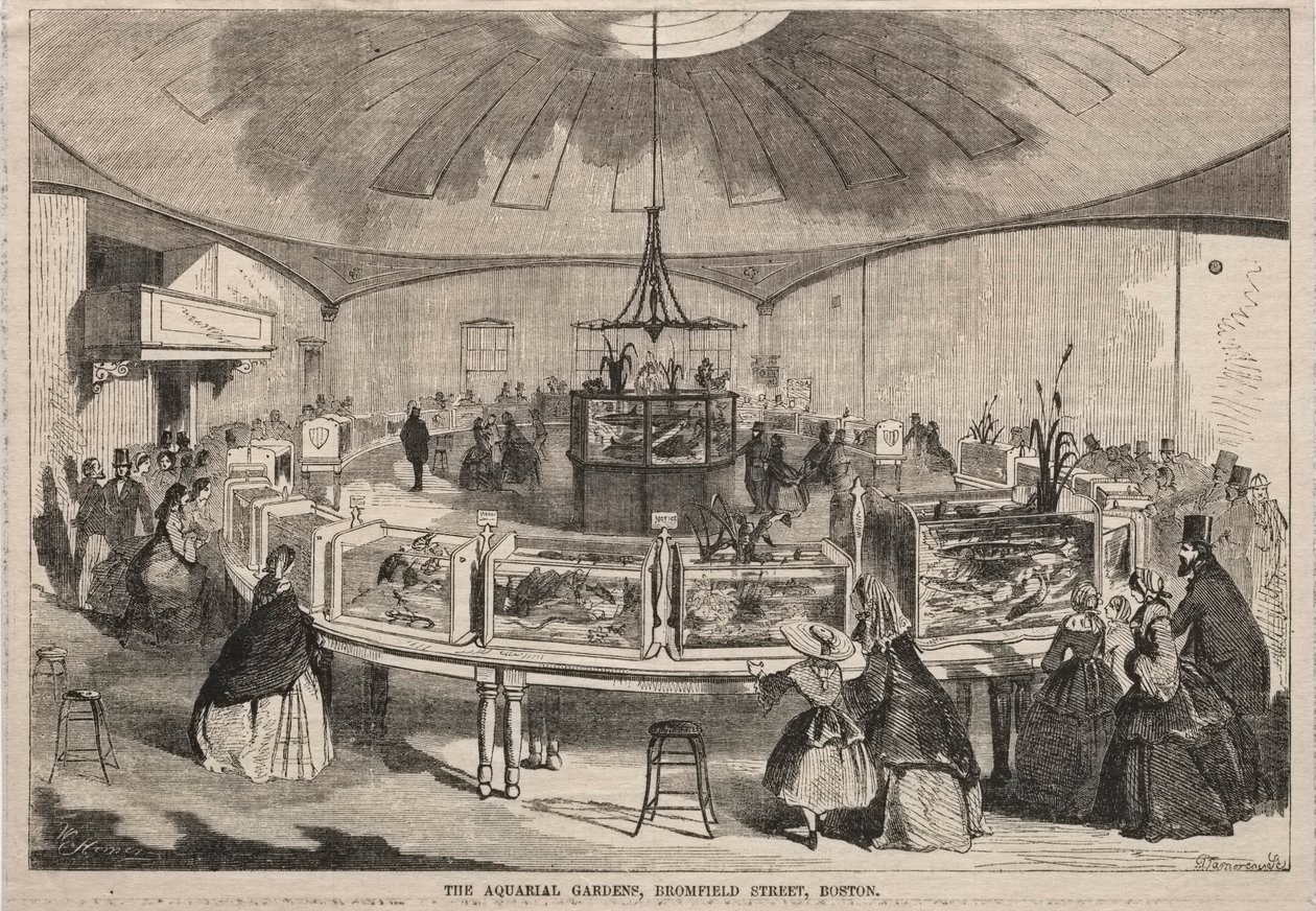The Aquarial Gardens, Bromfield Street, Boston alkotó: Winslow Homer