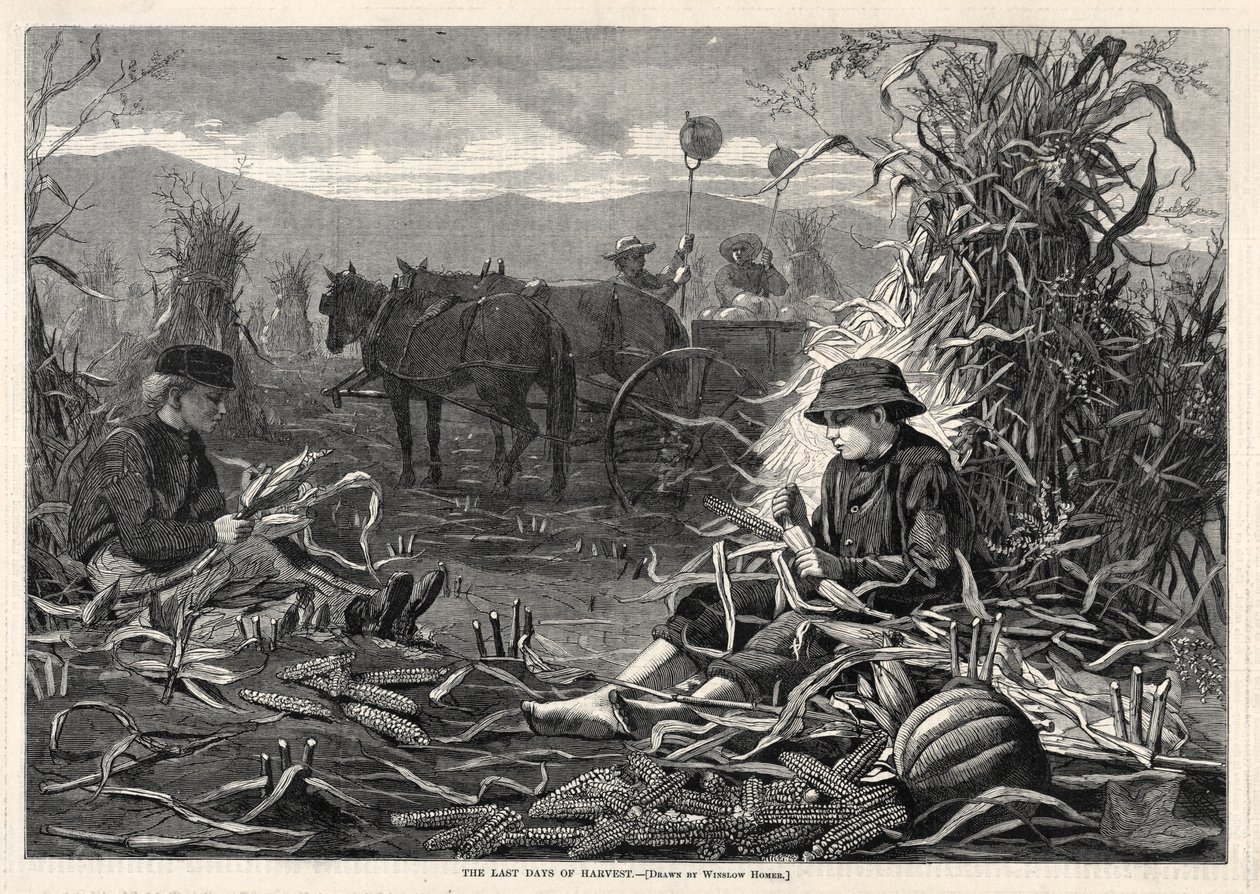 Az aratás utolsó napjai, 1873. alkotó: Winslow Homer
