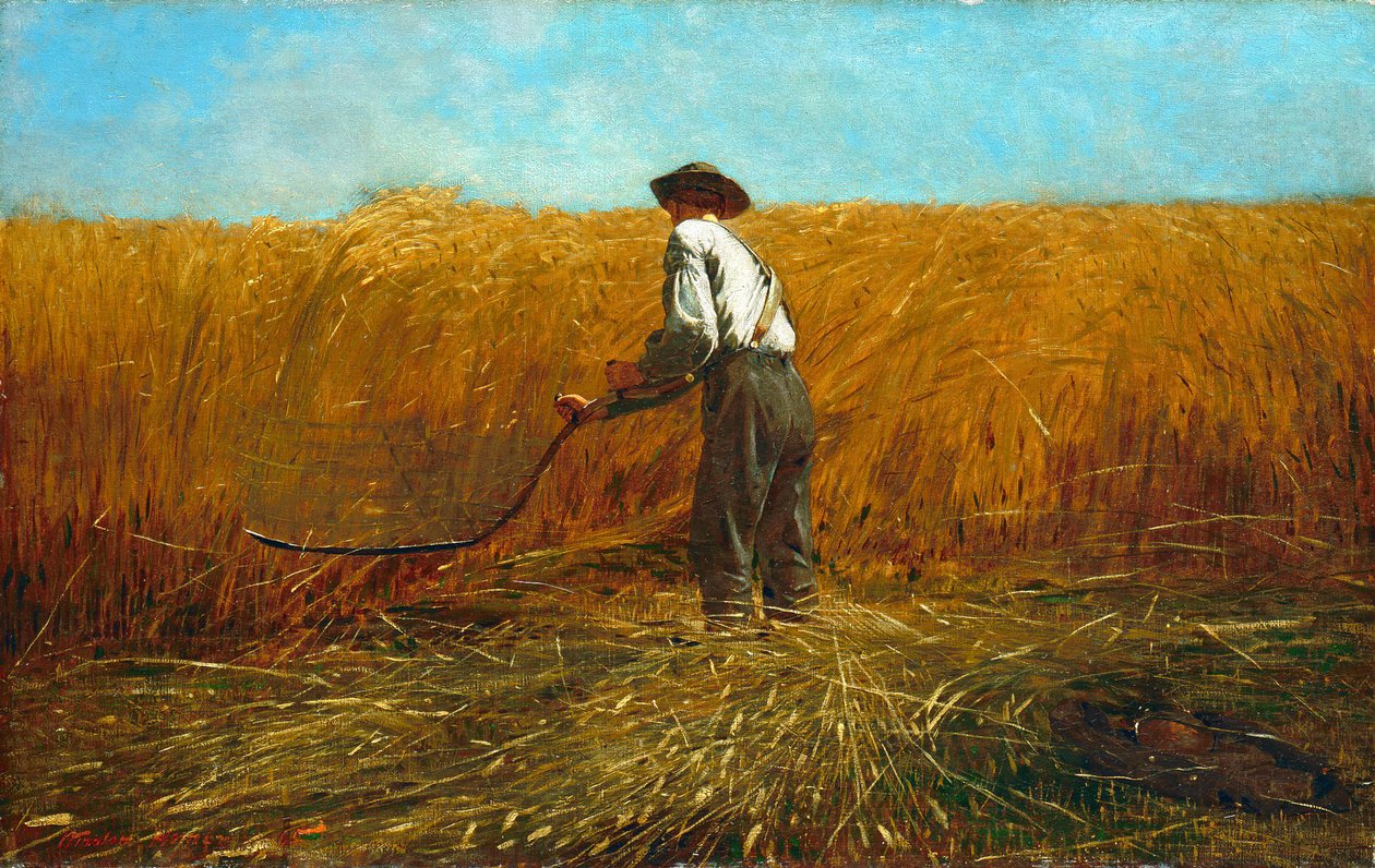 A veterán új mezőn, 1865. alkotó: Winslow Homer