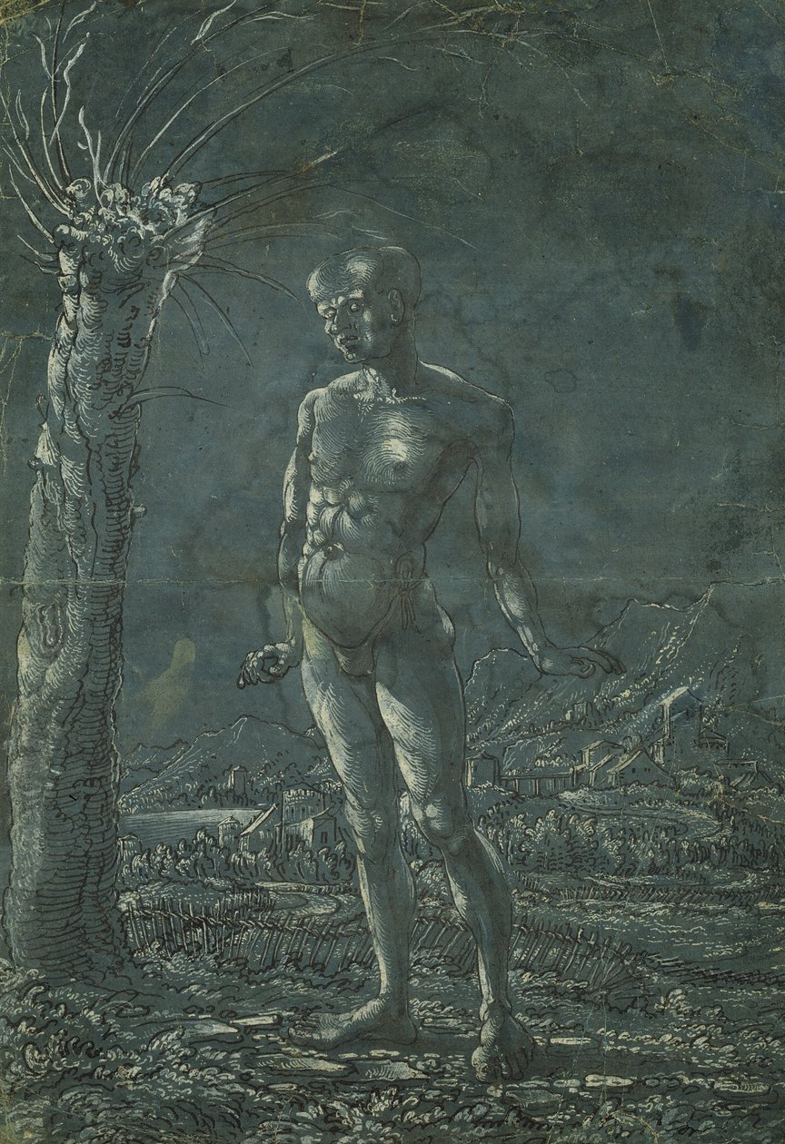 Álló meztelen férfi egy tájban, 1512 körül (toll és fekete tinta fehér kiemeléssel a papíron) alkotó: Wolf Huber