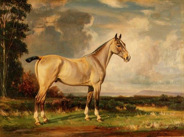Páva portréja alkotó: Wright Barker