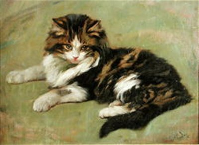 Tanulmány egy macskáról (olaj a fedélzeten) alkotó: Wright Barker