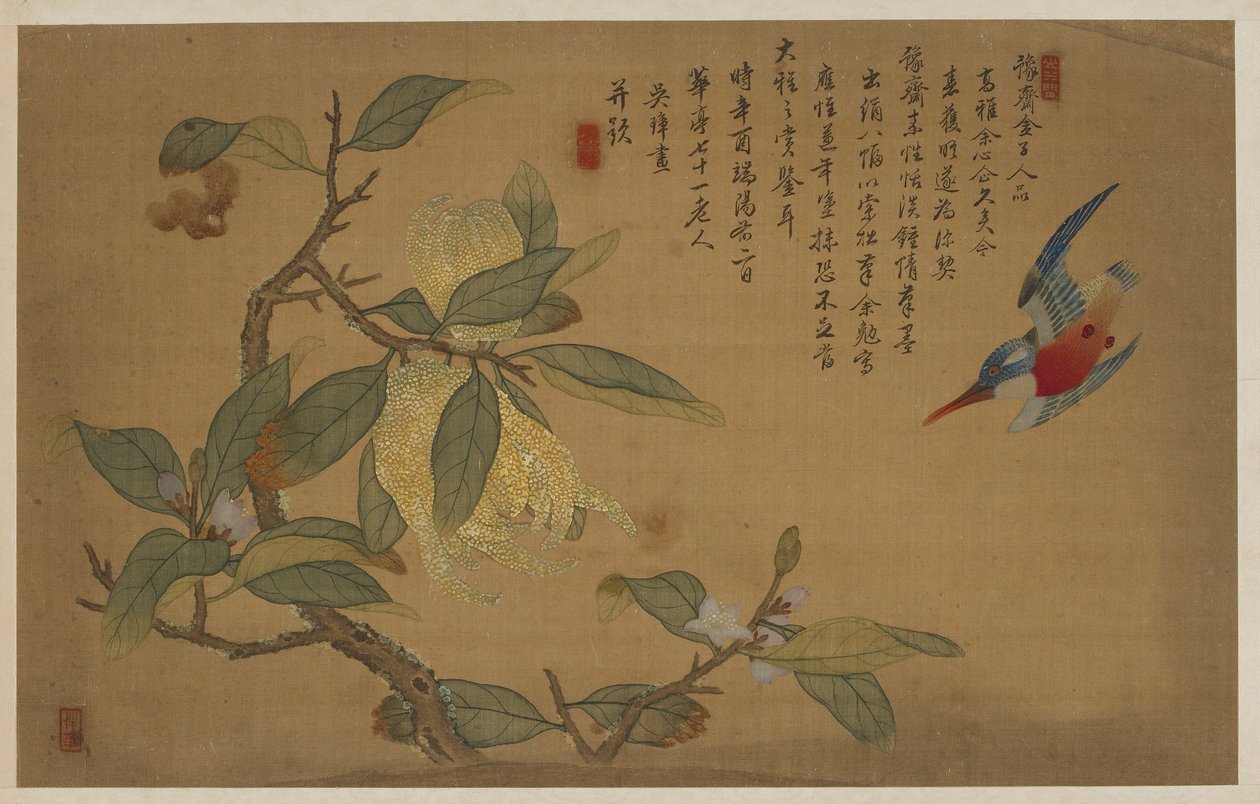Madár, gyümölcs és virág, Qing-dinasztia, 1741. alkotó: Wu Zhang