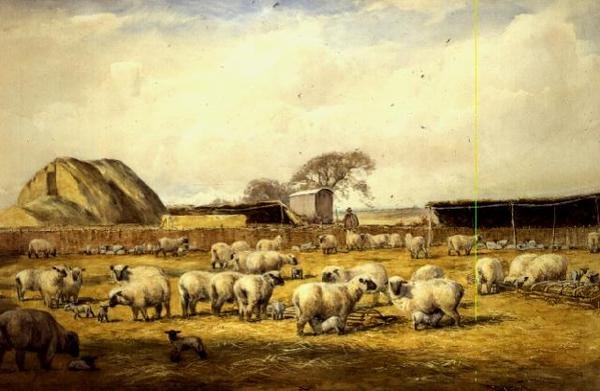 Lambing Pen, Hungerford alkotó: Wycliffe Egginton