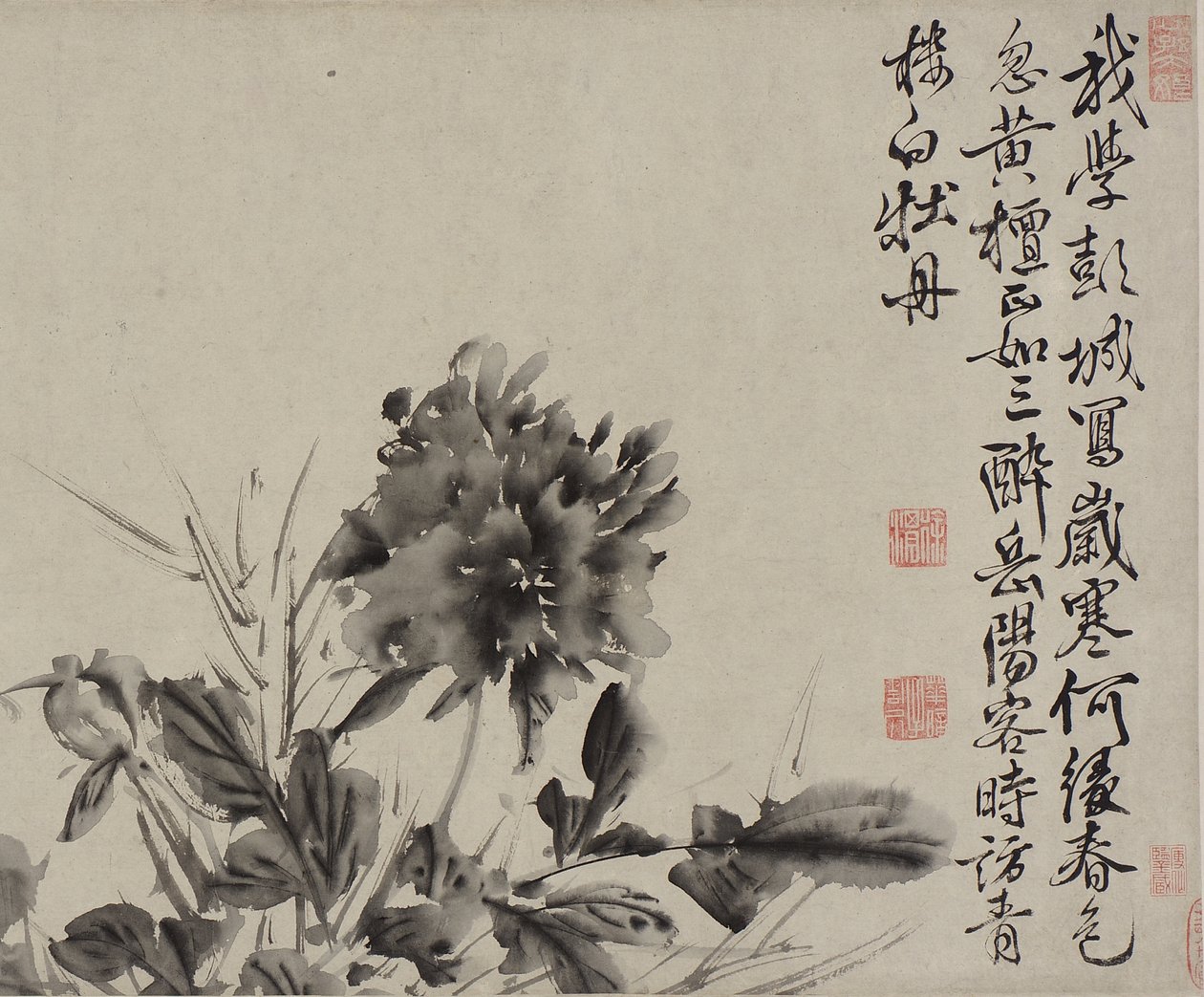 Tizenkét virág és vers, Ming-dinasztia (tinta papíron) alkotó: Xu Wei
