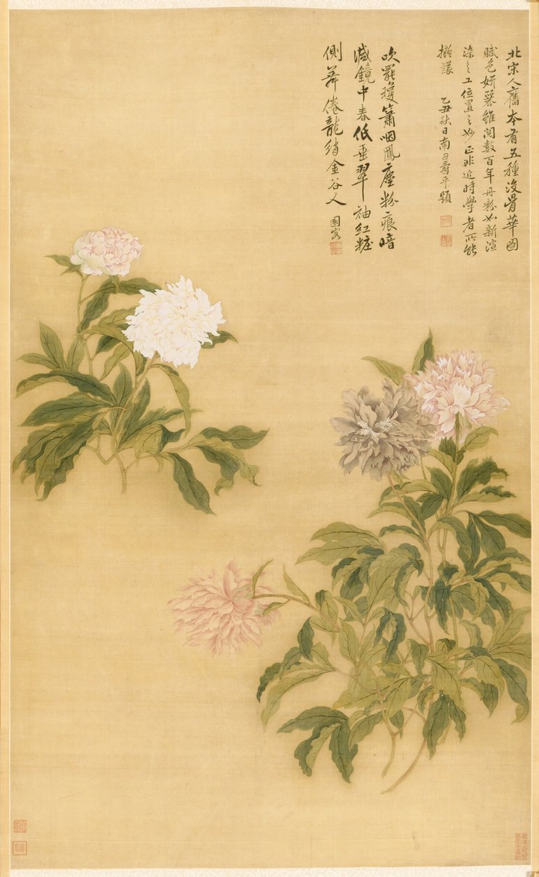 Pünkösdi rózsa alkotó: Shouping Yun