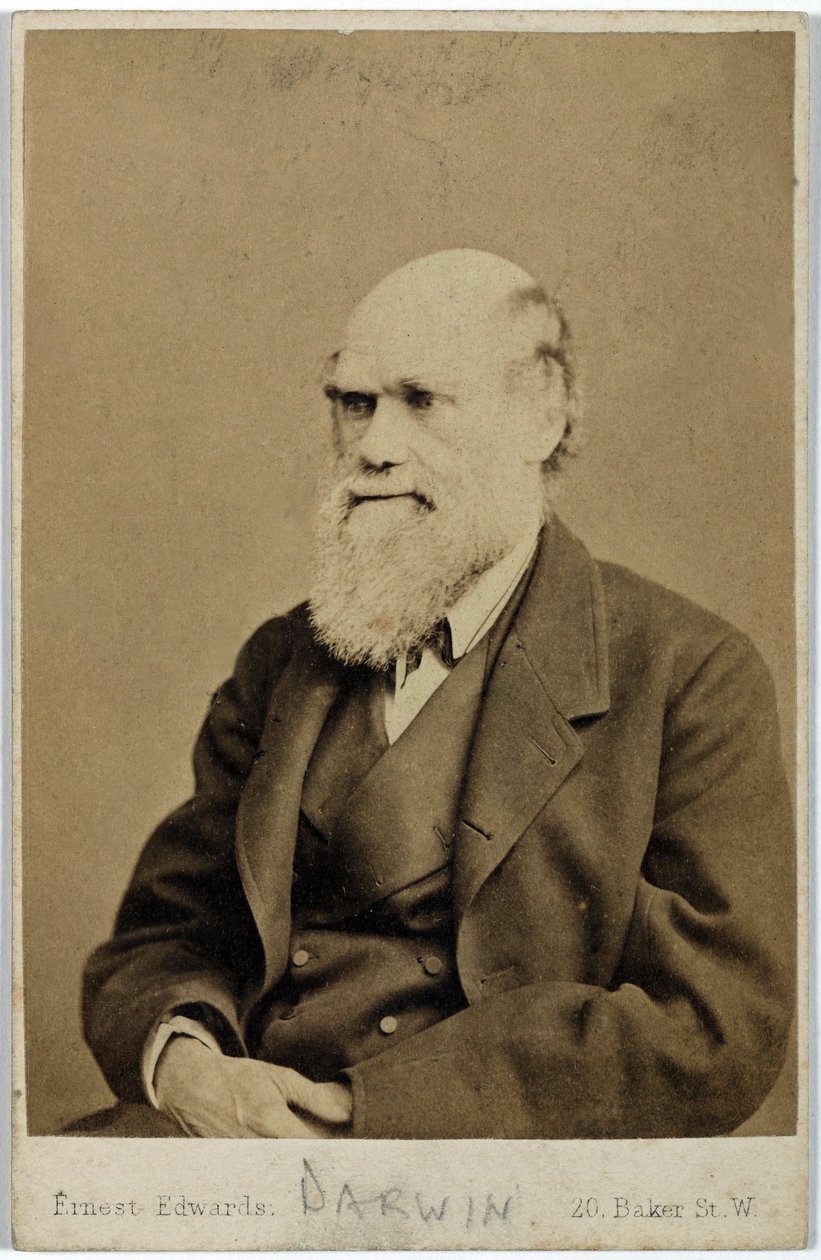 Charles Darwin angol természettudós, 1870-es évek alkotó: Ferdinand Georg Waldmuller