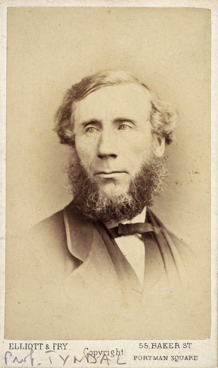 John Tyndall ír fizikus, 1875 alkotó: Frederick (attr. to) Barnard