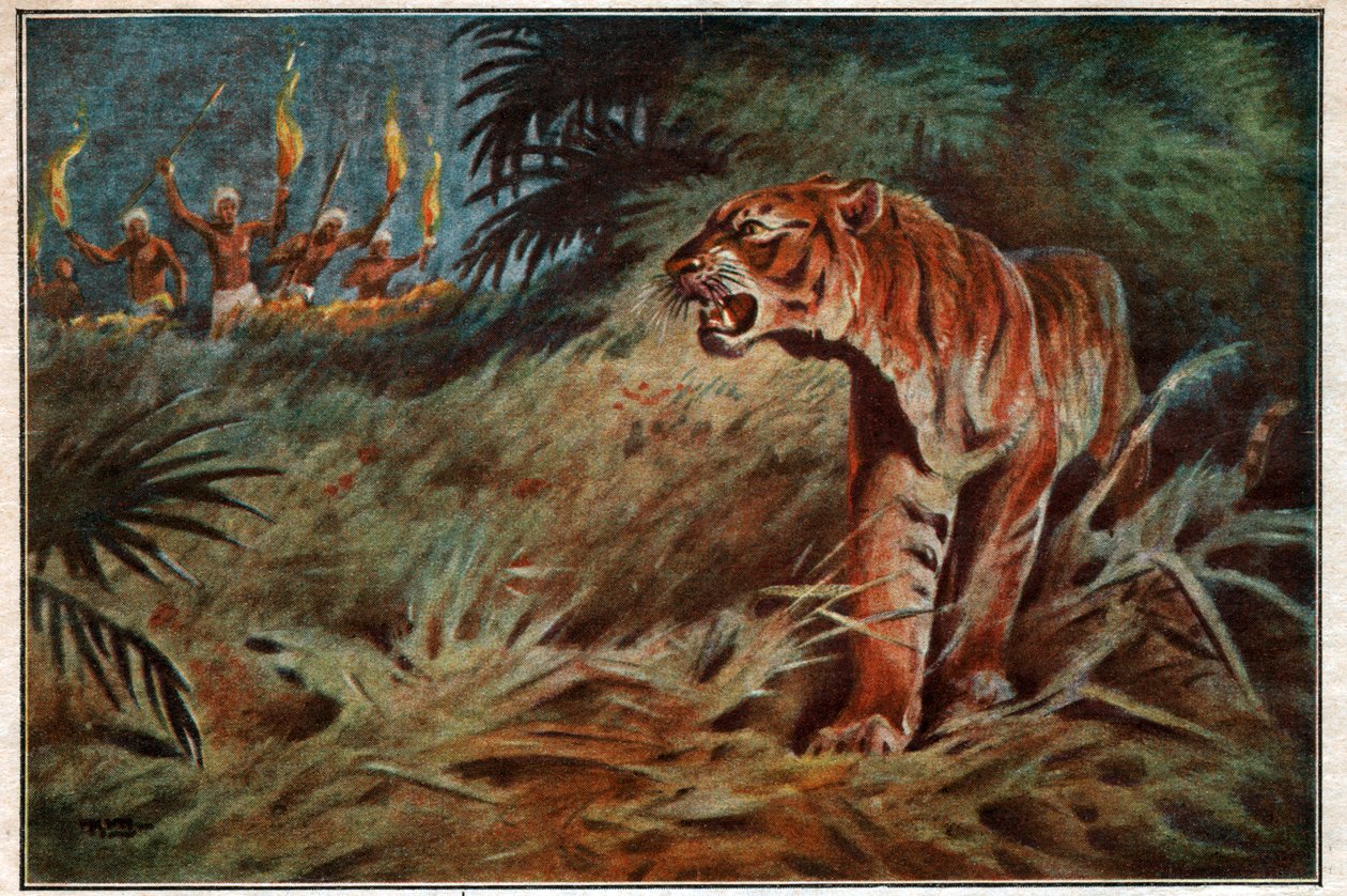 Emberevő tigris alkotó: . .