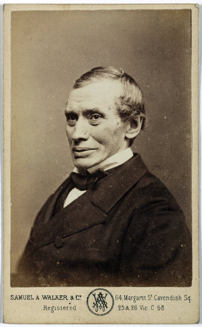 Thomas Graham, skót kémikus, 1870 alkotó: Frederick (attr. to) Barnard