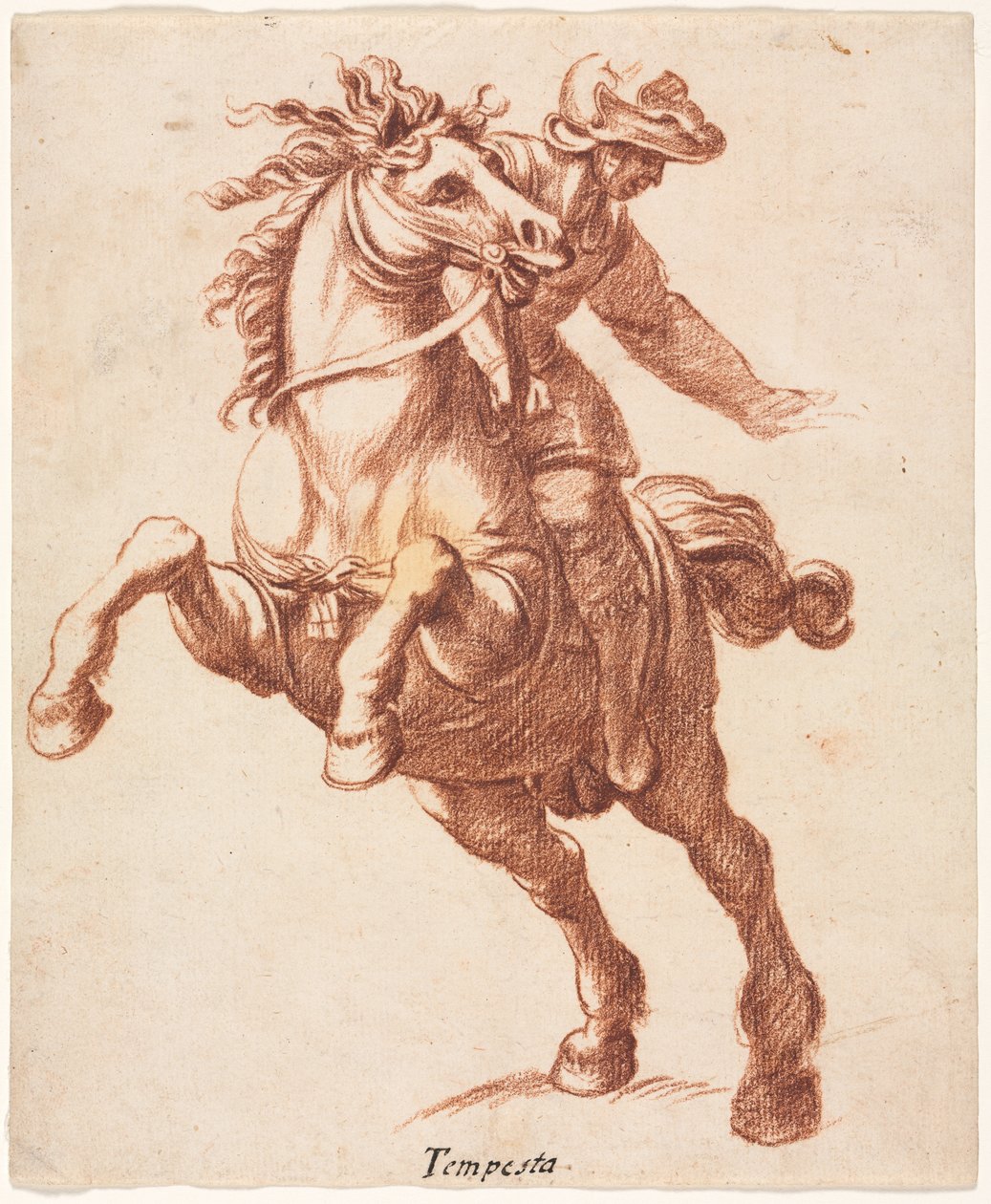 Ló és lovas nevelése alkotó: attributed to Antonio Tempesta