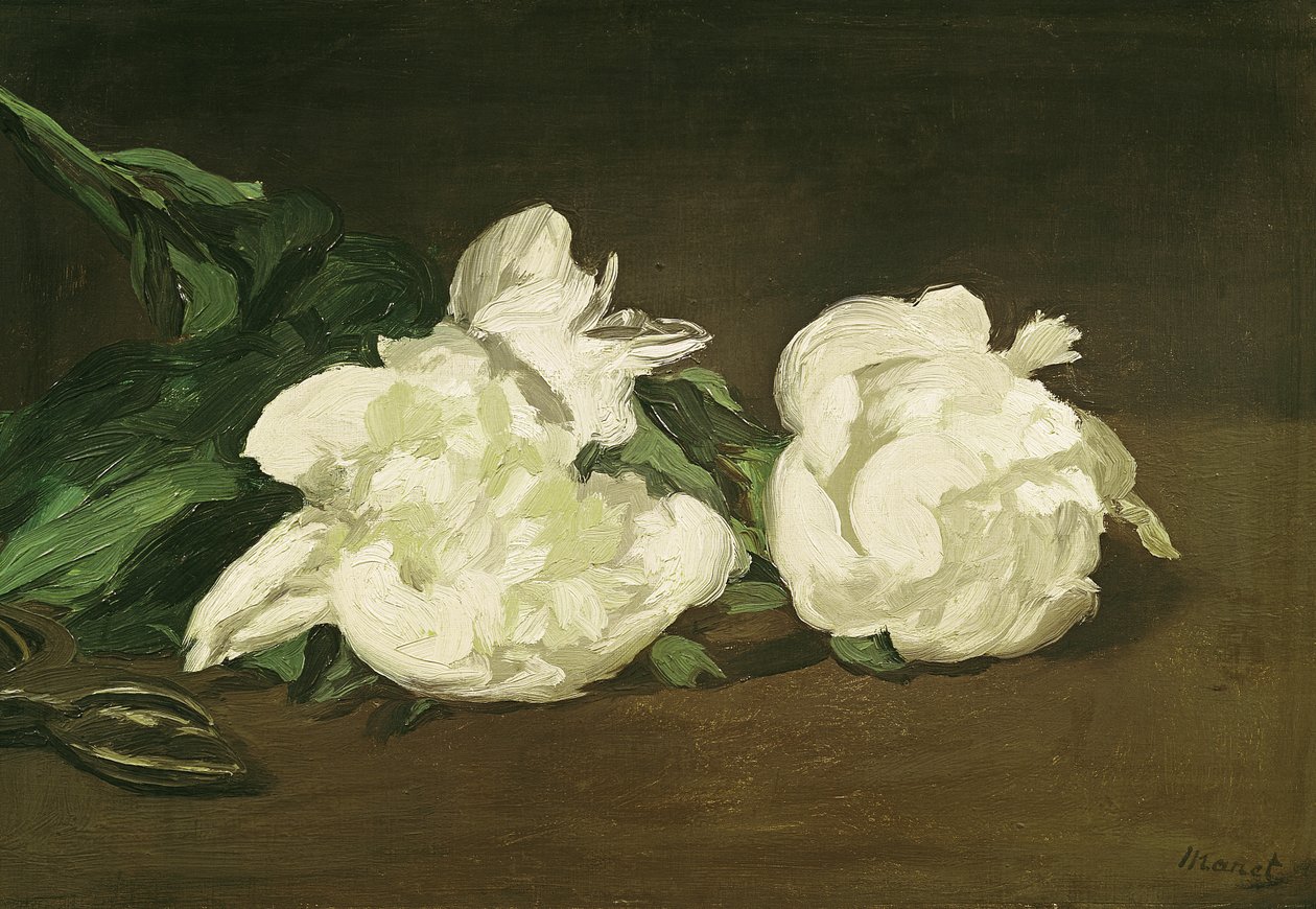 Fehér bazsarózsa és metsző ága, 1864 alkotó: Édouard Manet