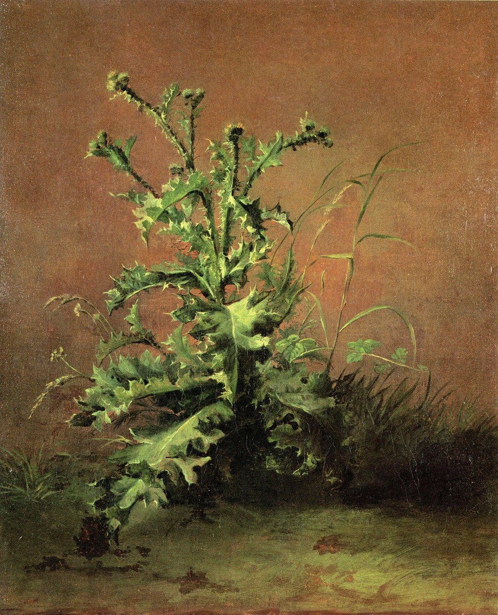 Chardons alkotó: Édouard Manet
