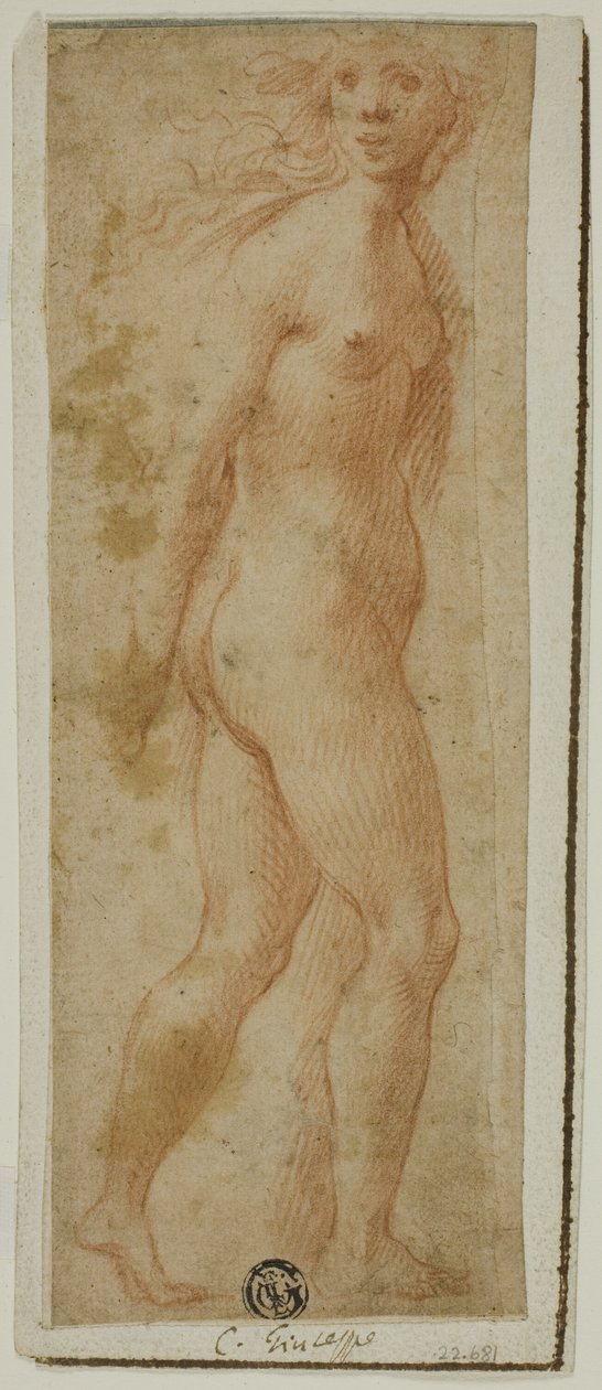 Proserpina alkotó: follower of Giuseppe Cesari