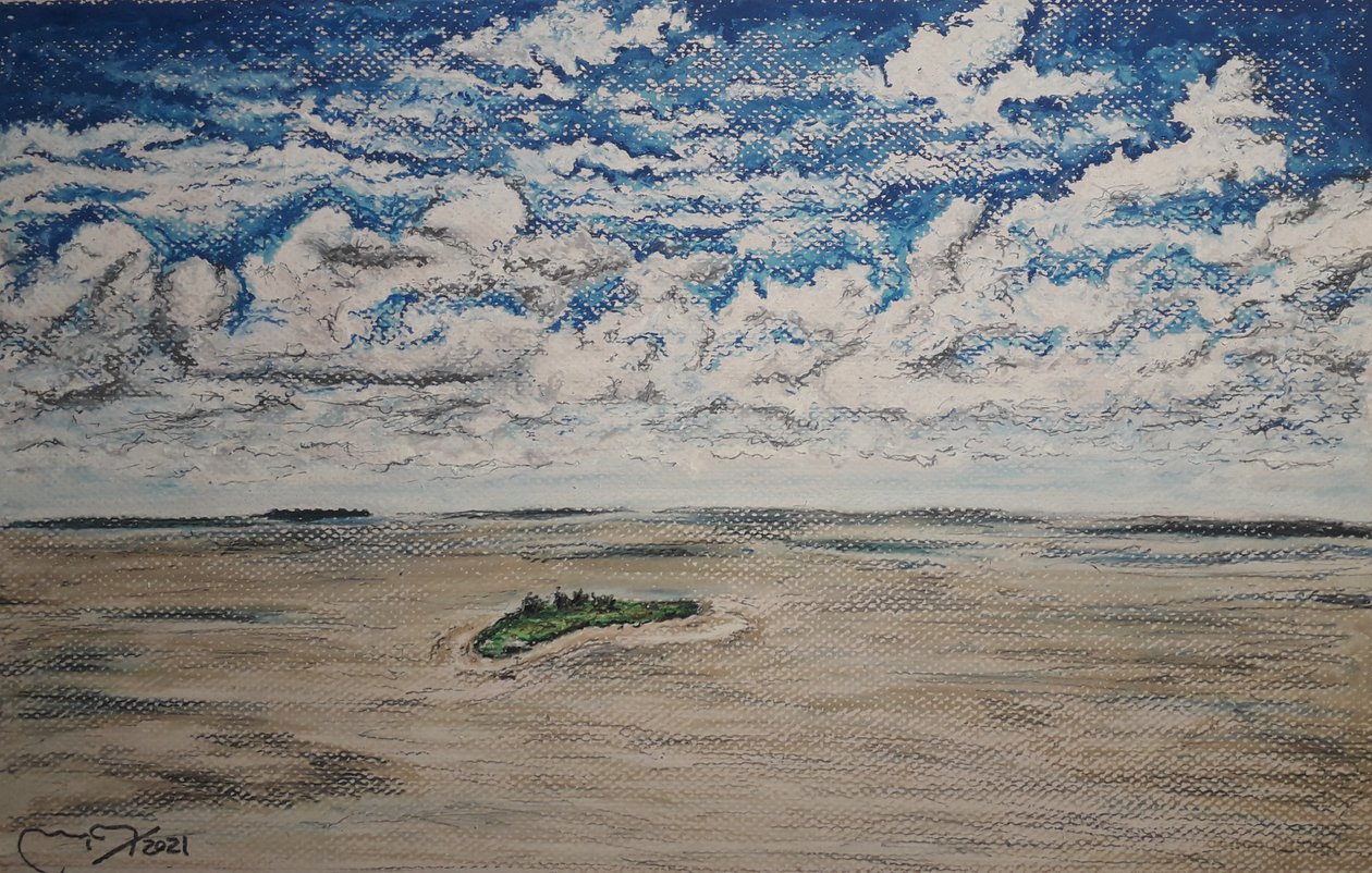 ORINOCO DELTA - BOCA GRANDE alkotó: miguelmendez_art.ve