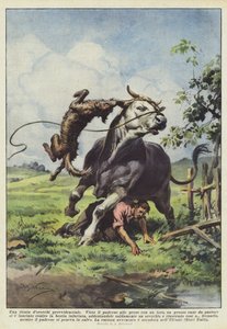 Gondviselésszerű tiráda dorecchi