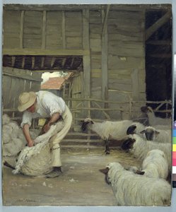 Birkanyírás