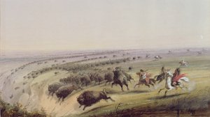Bivalyvadászat, 1837