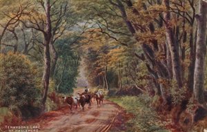 Tennyson Lane Haslemere közelében