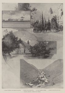 Cronje fogsága, St Helena jelenetek