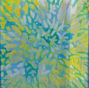 Acrapora, 2000 (olaj, gesso)