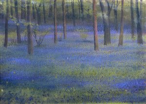 Bluebell Wood (pasztell, papír)